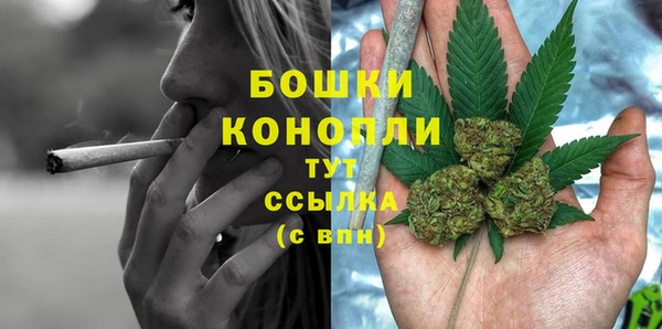 стаф Верхний Тагил
